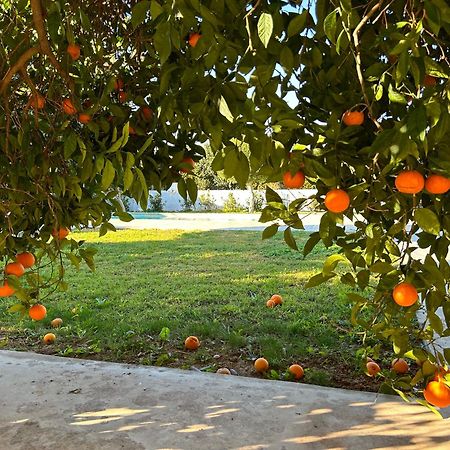 纳夫普利翁The Orange Garden公寓 外观 照片