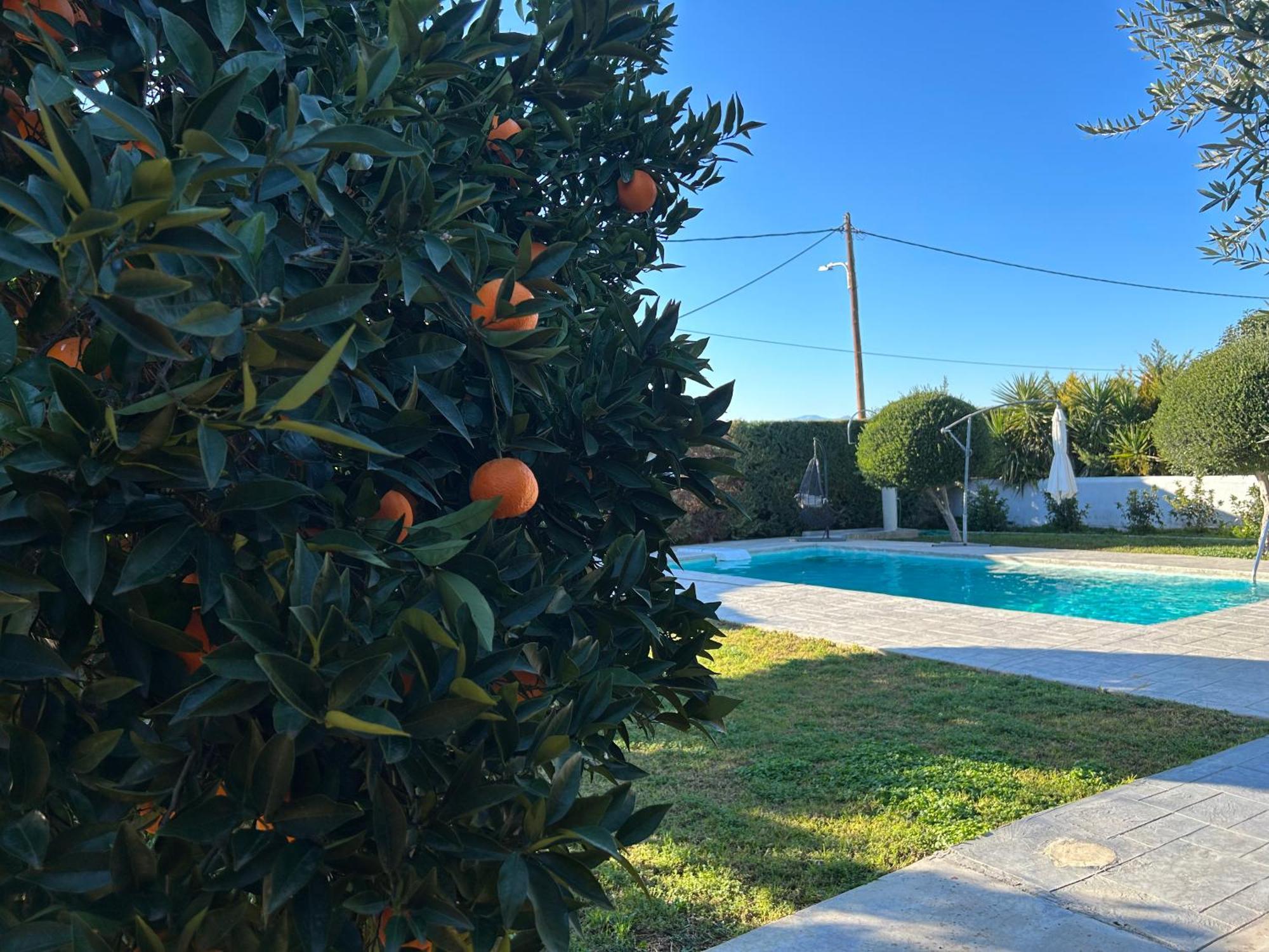 纳夫普利翁The Orange Garden公寓 外观 照片